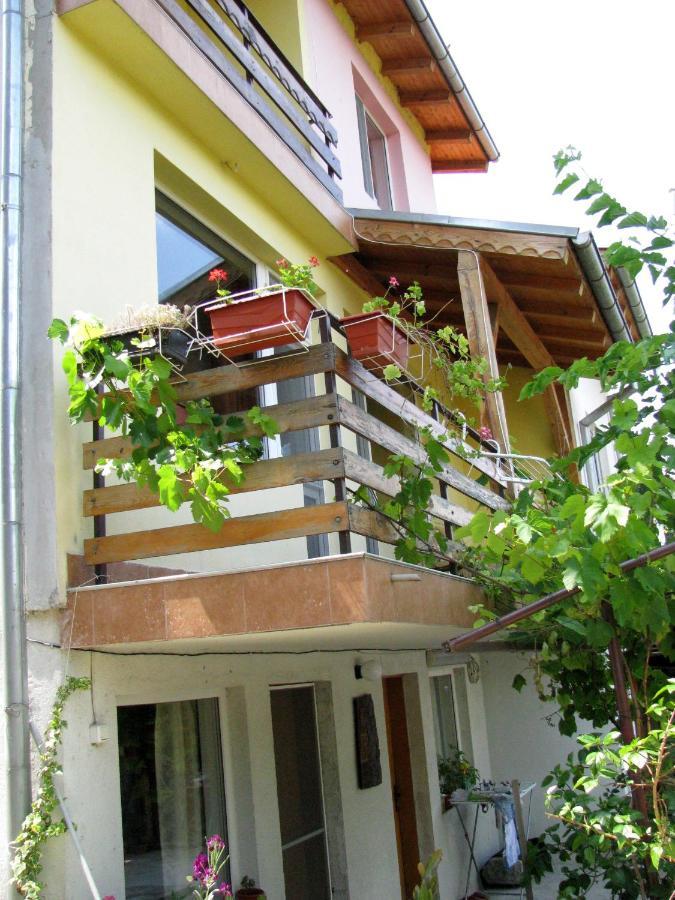 Guest House Familia Samovodene Exterior photo